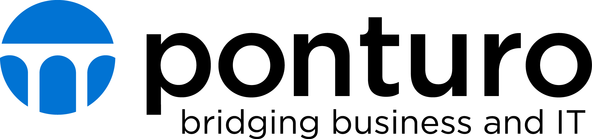 Logo ponturo consulting AG